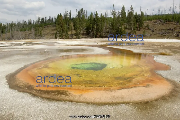 : Thermal Pool - Old Faithful area : Thermal Pool - Old Faithful area