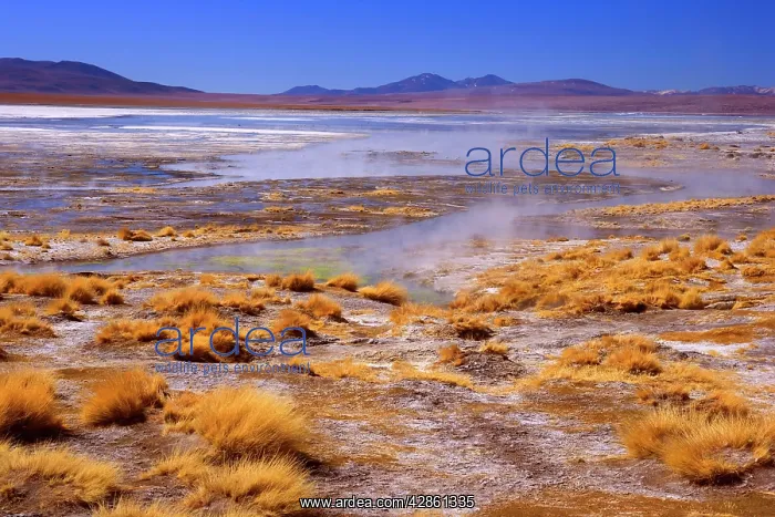 : Thermas de Chalviri - Altiplano landscape with : Thermas de Chalviri - Altiplano landscape with