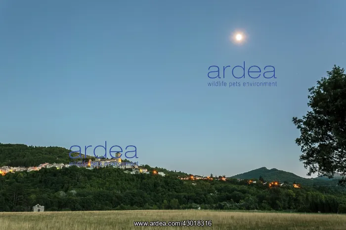  : Thoard Village and moon