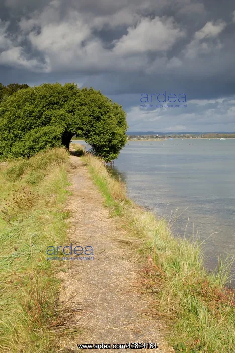  : Thorney Island