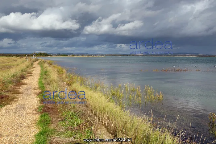  : Thorney Island