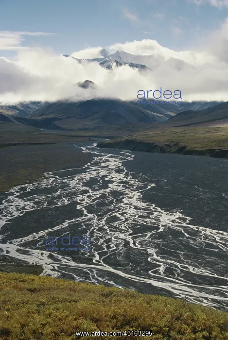  : Thorofare River in Alaska