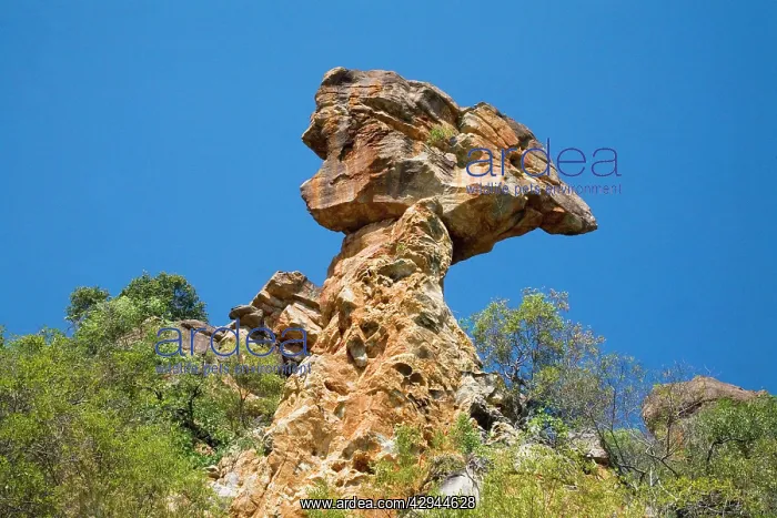: Thor's Hammer - This rock and tower are Warton : Thor's Hammer - This rock and tower are Warton