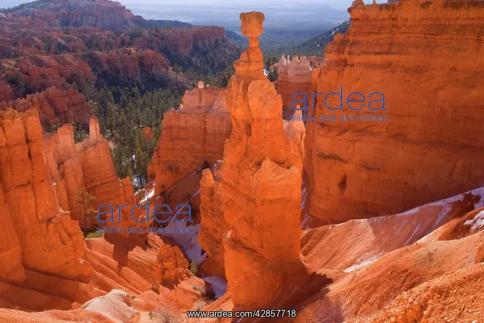 : Thor's Hammer - view from sunset point onto famous : Thor's Hammer - view from sunset point onto famous