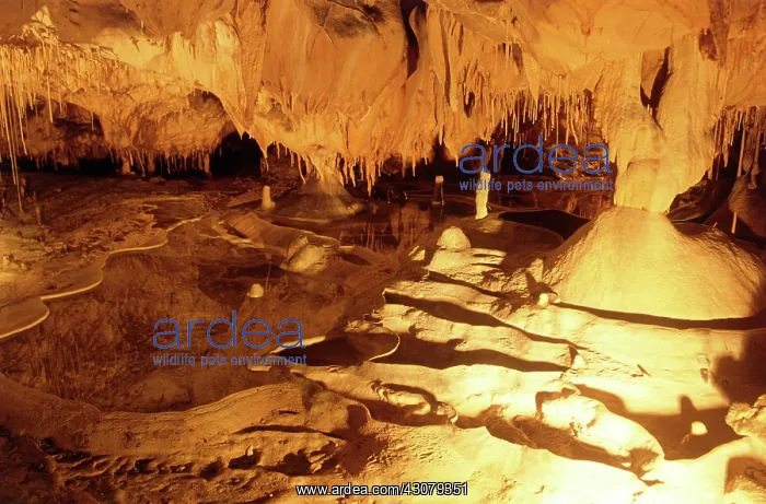 : Thouzon Cave, France : Thouzon Cave, France