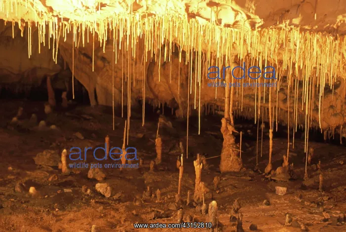 : Thouzon Cave, France : Thouzon Cave, France