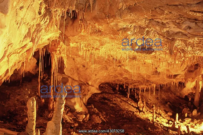 : Thouzon Cave, Provence, France : Thouzon Cave, Provence, France