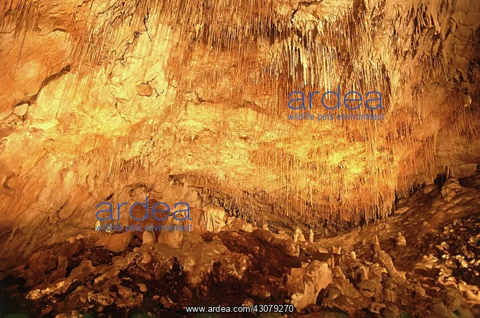 : Thouzon Cave, Provence, France : Thouzon Cave, Provence, France