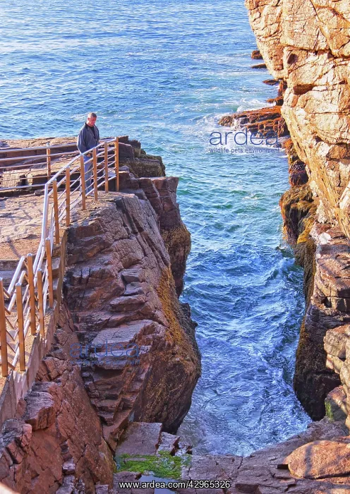  : Thunder Hole in Acadia National Park in Maine -