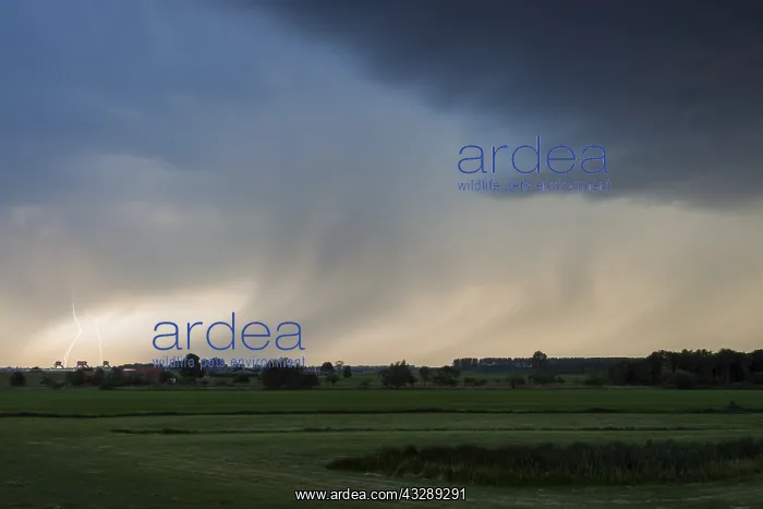 : Thunder storm passing over the river forelands : Thunder storm passing over the river forelands