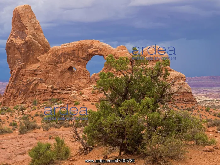 : Thunderclouds over Turret Arch, The Windows Selection : Thunderclouds over Turret Arch, The Windows Selection