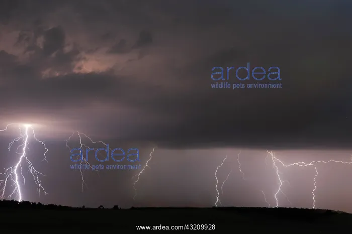: Thunderstorm over Assamstadt, Baden-Wuerttemberg : Thunderstorm over Assamstadt, Baden-Wuerttemberg