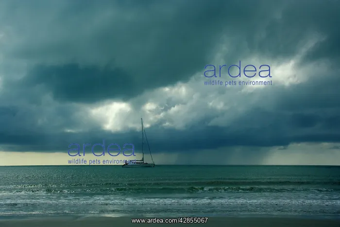 : Thunderstorm and boat - tropical thunderstorm is : Thunderstorm and boat - tropical thunderstorm is