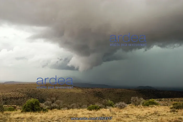 : Thunderstorm breaking over Mountain Zebra National Park : Thunderstorm breaking over Mountain Zebra National Park