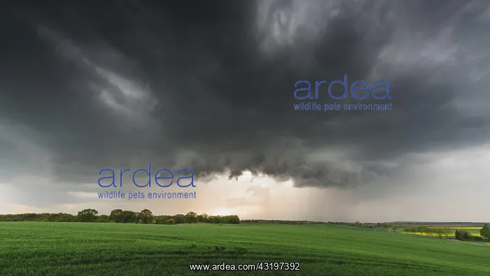 : Thunderstorm cell, Elbe Sandstone Mountains, Saxon : Thunderstorm cell, Elbe Sandstone Mountains, Saxon