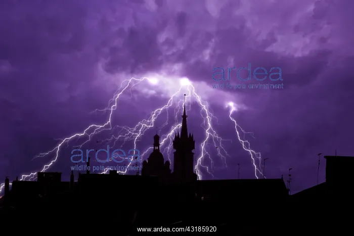 : Thunderstorm, lightning, sky, clouds, night : Thunderstorm, lightning, sky, clouds, night