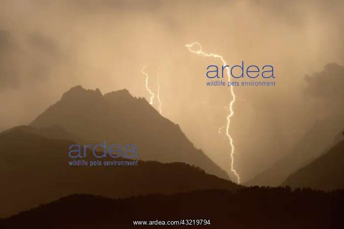 : Thunderstorm, lightning strike in Vomperloch, Karwendel : Thunderstorm, lightning strike in Vomperloch, Karwendel