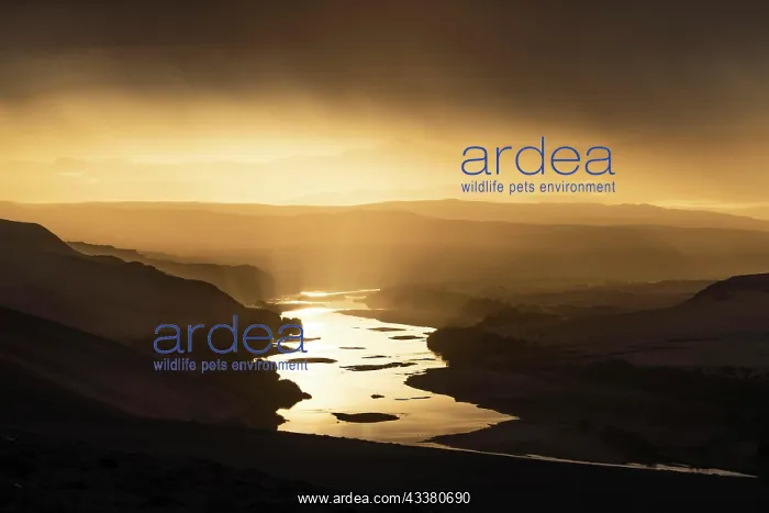 : Thunderstorm over the Orange River, also known as : Thunderstorm over the Orange River, also known as