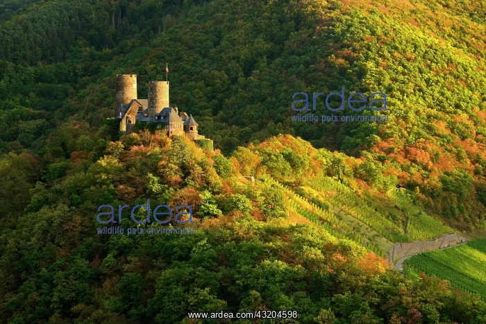 : Thurant Castle surrounded by woods and vineyards : Thurant Castle surrounded by woods and vineyards