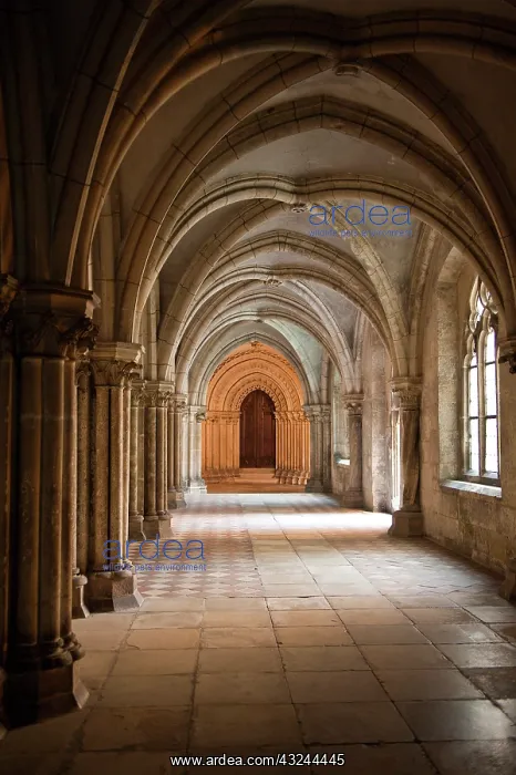 : Thurn und Taxis Palace Regensburg, Germany : Thurn und Taxis Palace Regensburg, Germany