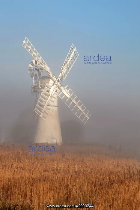  : Thurne Windmill