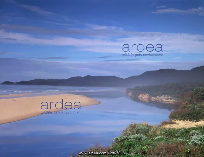: Thurra River mouth, Point Hicks & Captain Cook : Thurra River mouth, Point Hicks & Captain Cook
