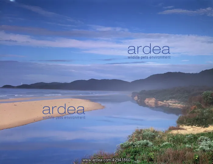  : Thurra River mouth, Point Hicks & Captain Cook