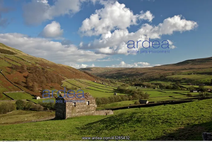 : Thwaite, England : Thwaite, England