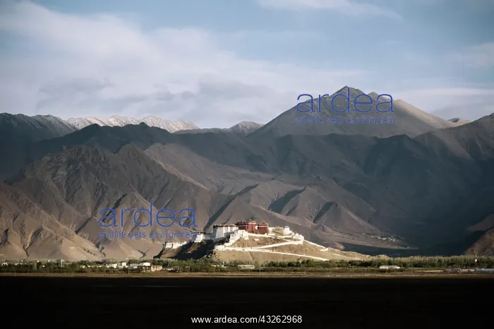 : Tibet, Lhasa, Potala Palace (Large format : Tibet, Lhasa, Potala Palace (Large format