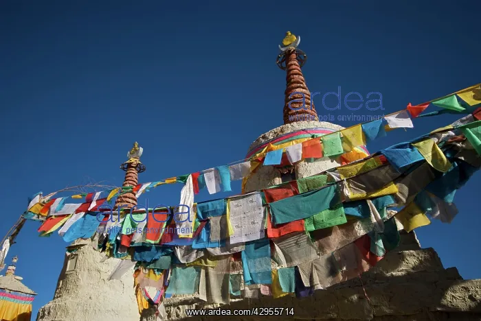  : Tibet prayer flags on village stupa