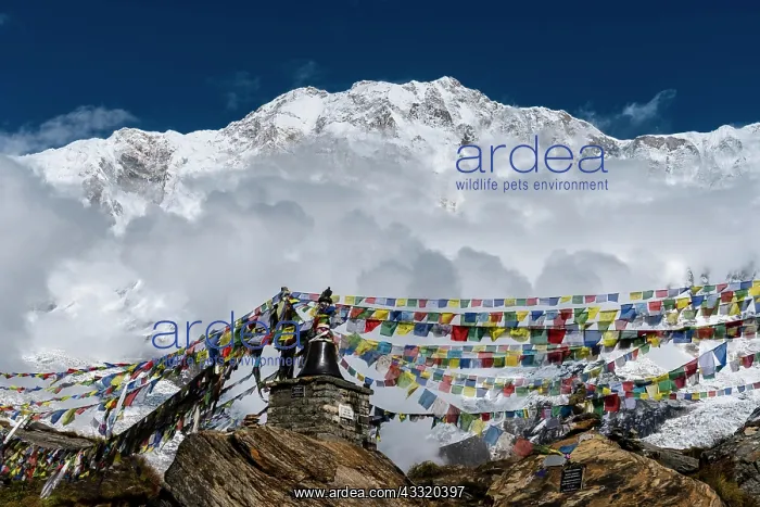 : Many tibetan prayer flags are set up at a memorial : Many tibetan prayer flags are set up at a memorial