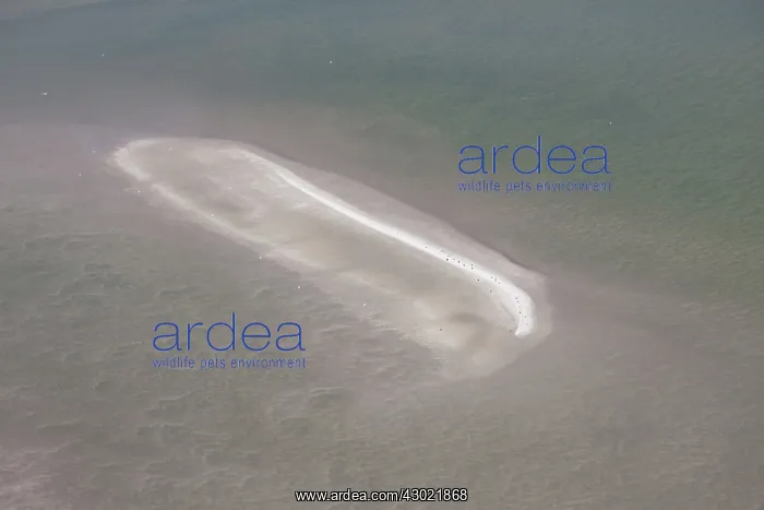  : Tidal Mud Flats aerial view