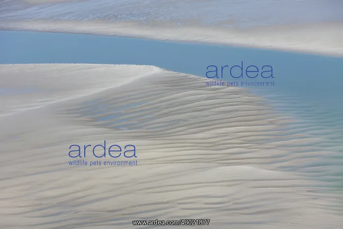  : Tidal Mud Flats aerial view