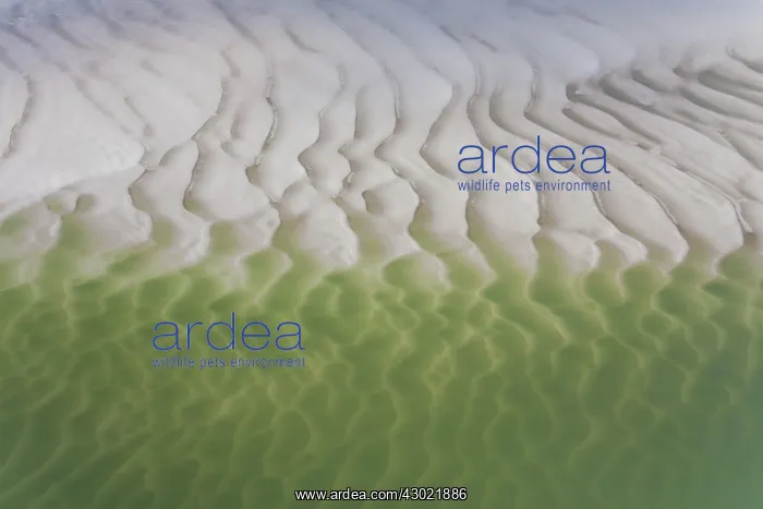  : Tidal Mud Flats aerial view