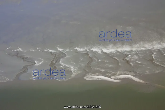  : Tidal Mud Flats aerial view