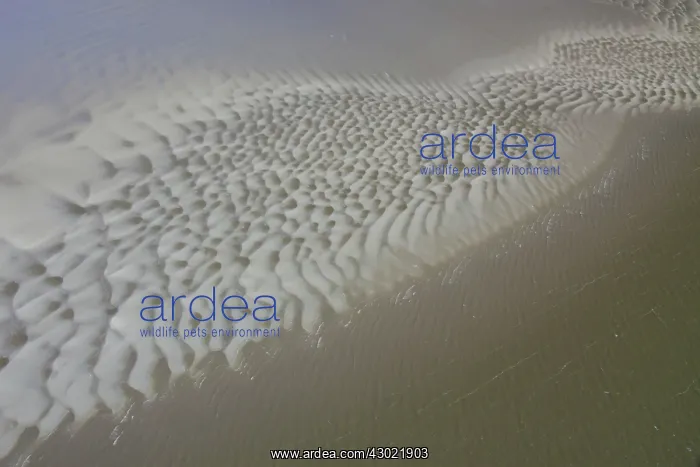  : Tidal Mud Flats aerial view