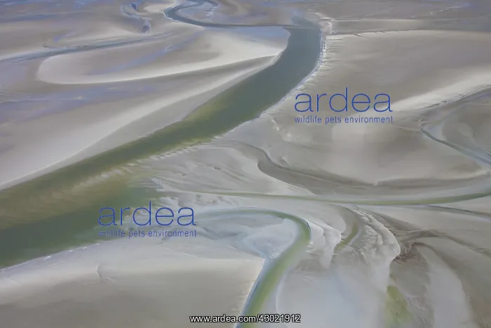  : Tidal Mud Flats aerial view