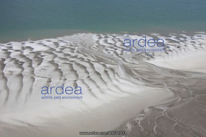 : Tidal Mud Flats aerial view