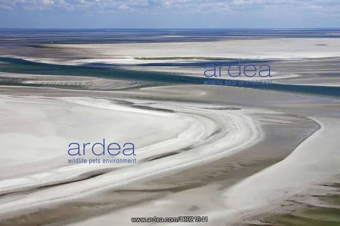  : Tidal Mud Flats aerial view
