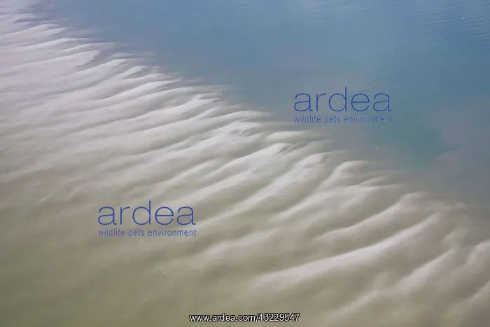  : Tidal Mud Flats aerial view