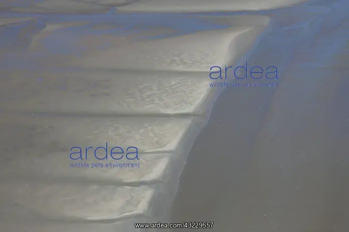  : Tidal Mud Flats aerial view