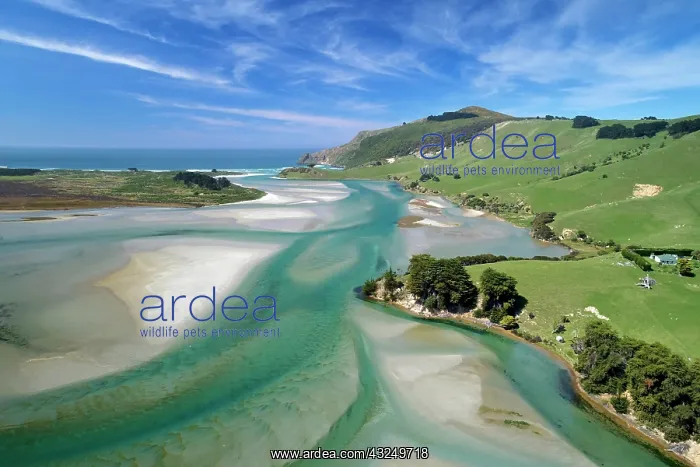 : Tidal patterns, Hoopers Inlet, Otago Peninsula : Tidal patterns, Hoopers Inlet, Otago Peninsula