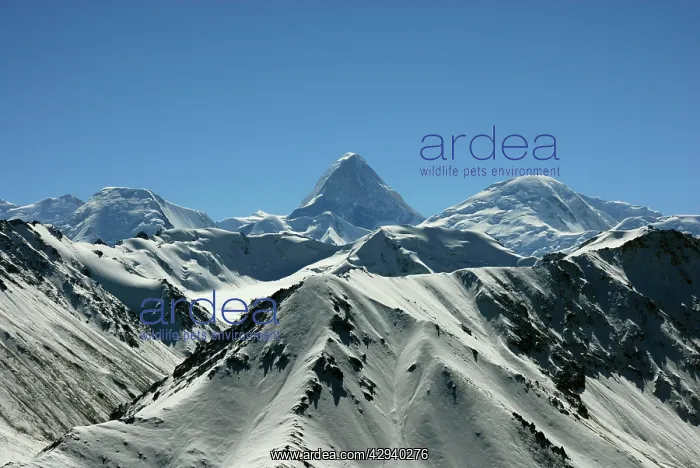 : Tienschan mountain with Khan Tengri peak : Tienschan mountain with Khan Tengri peak