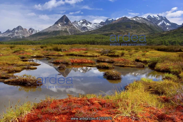  : Tierra del Fuego - mountain range reflects in a