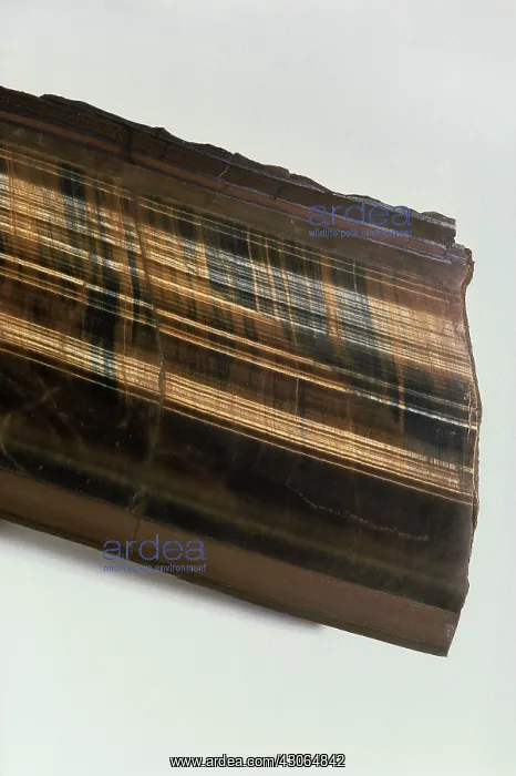 : Tiger-eye Quartz : Tiger-eye Quartz