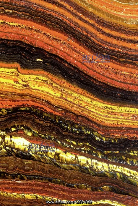 : Tiger Iron (Banded Iron Ore) - Hematite - Jasper : Tiger Iron (Banded Iron Ore) - Hematite - Jasper