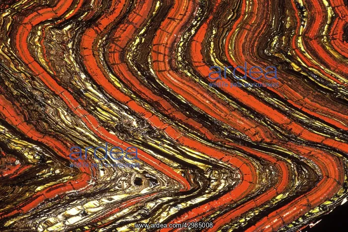 : Tiger Iron (Banded Iron Ore) - Hematite - Jasper : Tiger Iron (Banded Iron Ore) - Hematite - Jasper