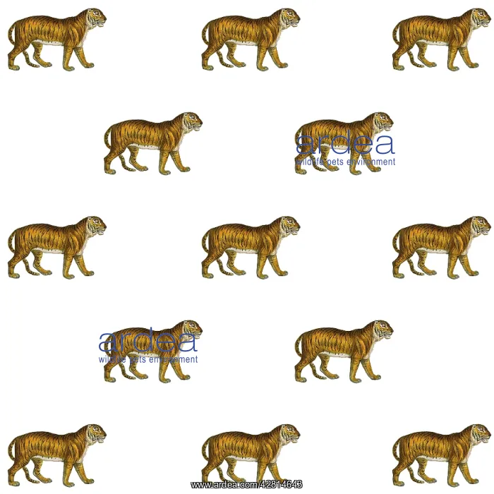 : Tigers repeating pattern Digital Manipulation: Tigers (MEPL) : Tigers repeating pattern Digital Manipulation: Tigers (MEPL)