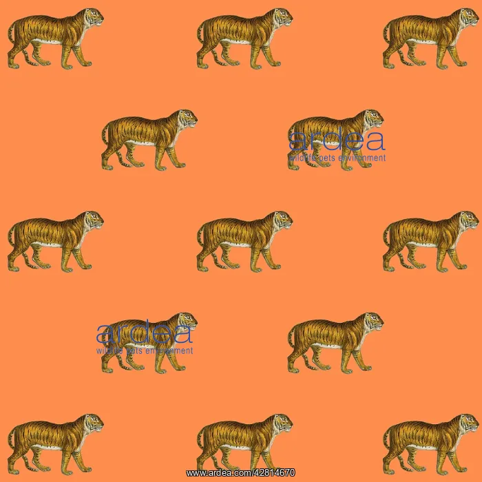 : Tigers repeating pattern Digital Manipulation: Tigers (MEPL) : Tigers repeating pattern Digital Manipulation: Tigers (MEPL)