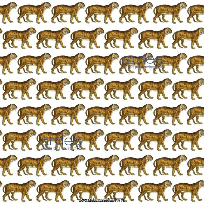 : Tigers repeating pattern Digital Manipulation: Tigers (MEPL) : Tigers repeating pattern Digital Manipulation: Tigers (MEPL)